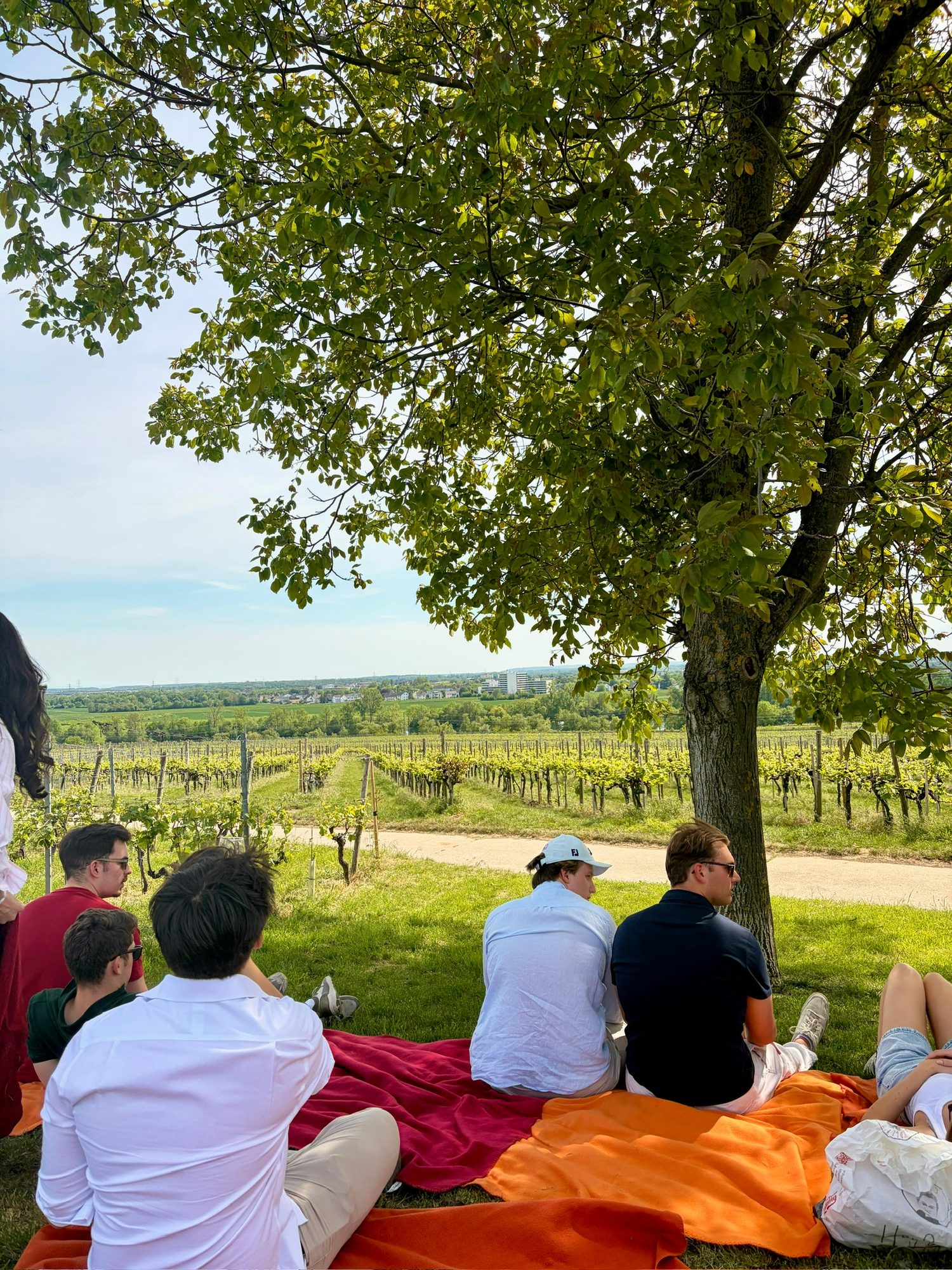 Weinwanderung